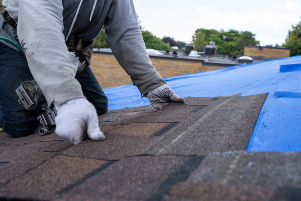 Quick and Trustworthy Emergency Roof Repair Services in Oronoco, MN