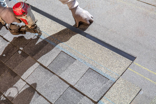 Best Roof Gutter Cleaning  in Oronoco, MN